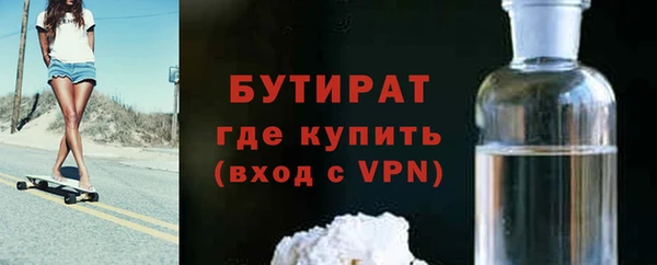индика Инта
