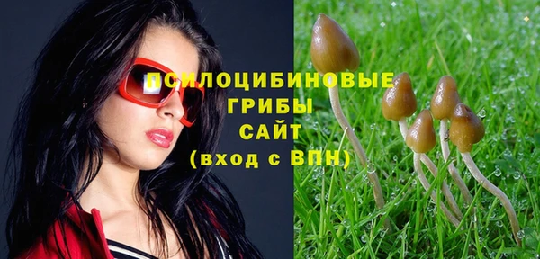 мет Балахна