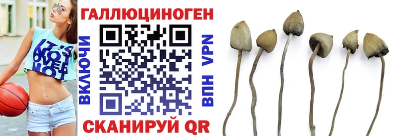 Псилоцибиновые грибы ЛСД  даркнет официальный сайт  Советский 