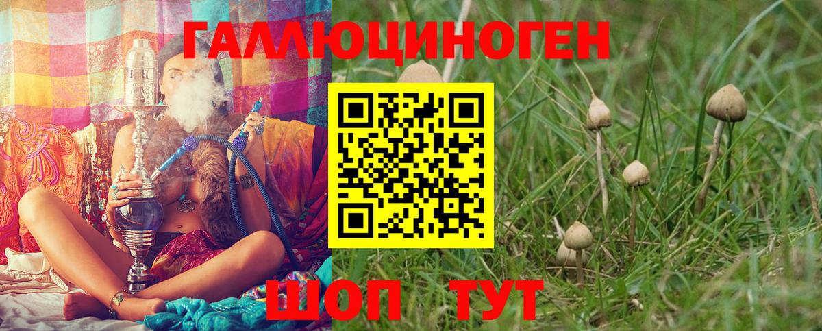Псилоцибиновые грибы мухоморы  Вход с VPN  Советский 